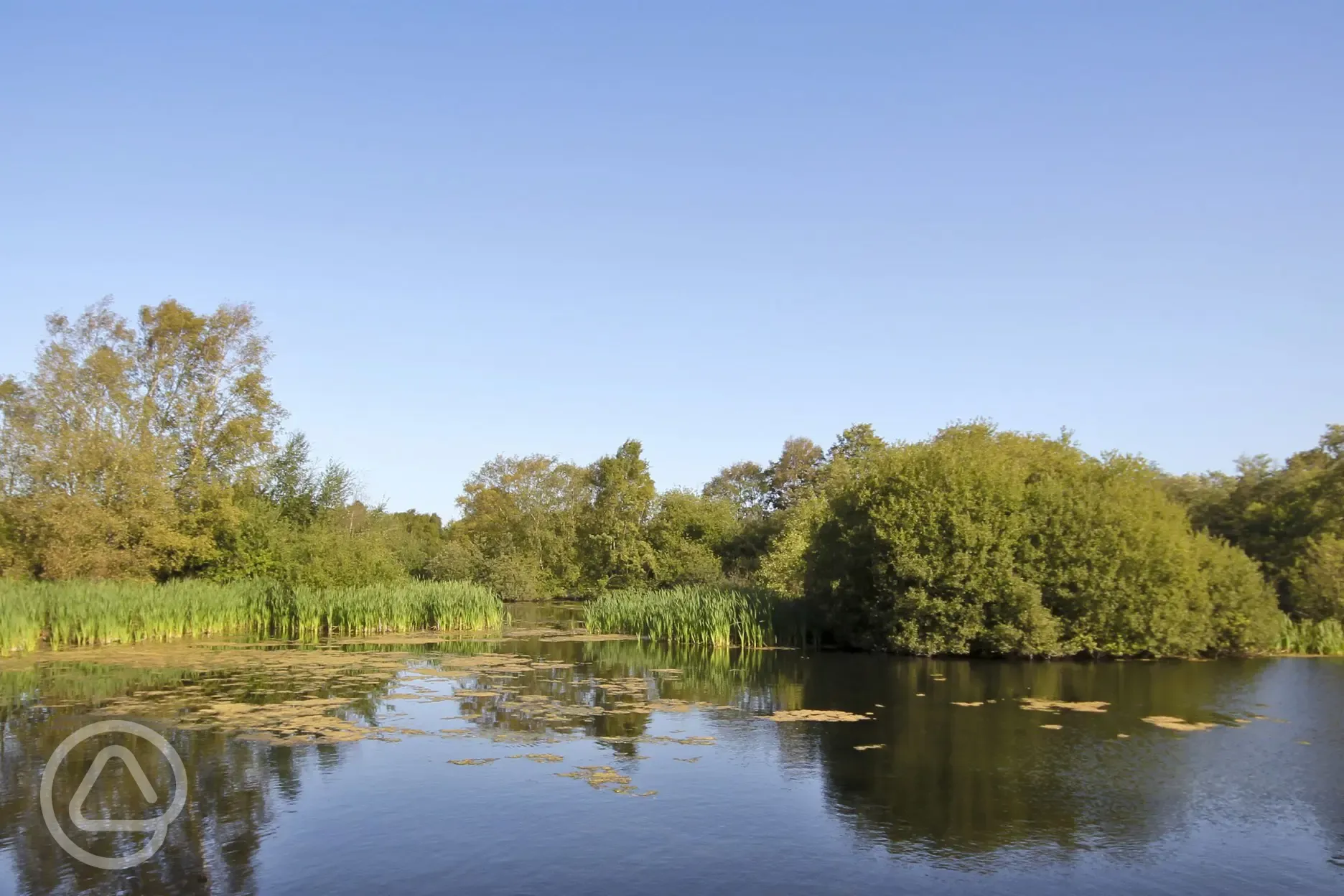 Lakes and woodland overlooking the site