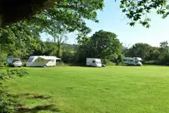 Electric grass pitches