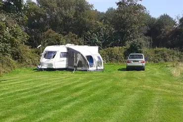 Electric grass pitches