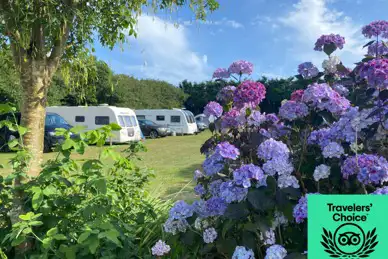 Tremarne Campsite