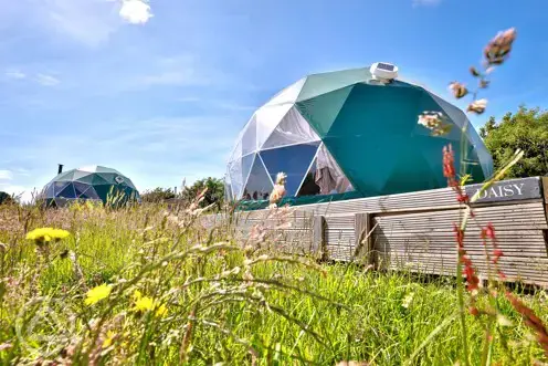 Brynteg Glamping