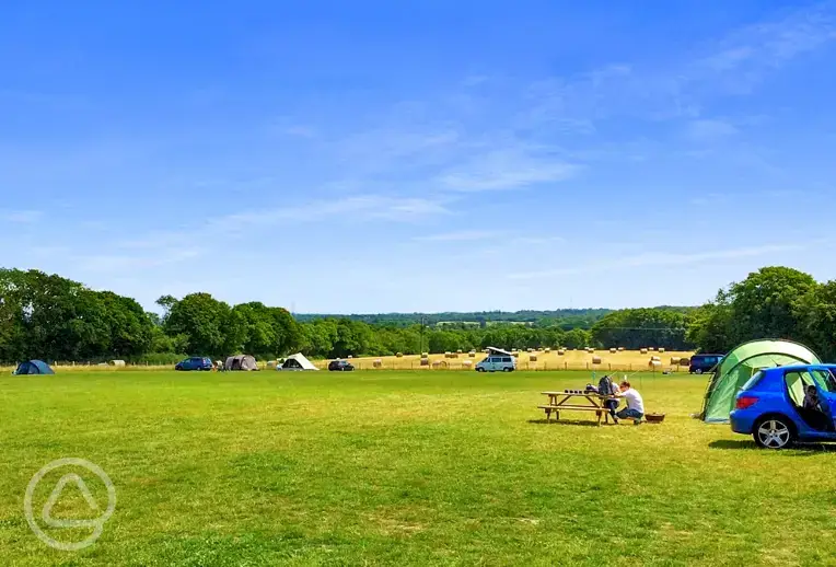 Non electric grass pitches 