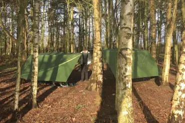 Hammock camping in the woods