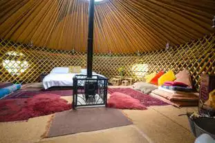 Woodland Tipi and Yurt Holidays, Little Dewchurch, Hereford, Herefordshire