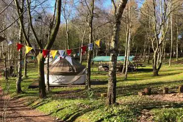 Yurts at the park