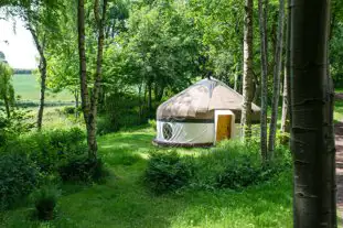 Woodland Tipi and Yurt Holidays, Little Dewchurch, Hereford, Herefordshire