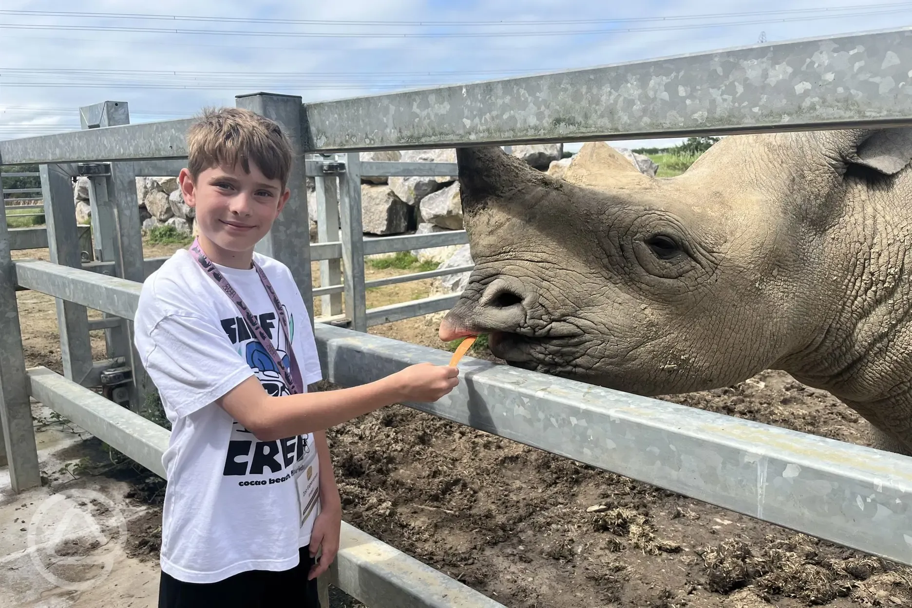 Rhino experiences at Folly Farm Adventure Park and Zoo Rhino experiences at Folly Farm Adventure Park and Zoo