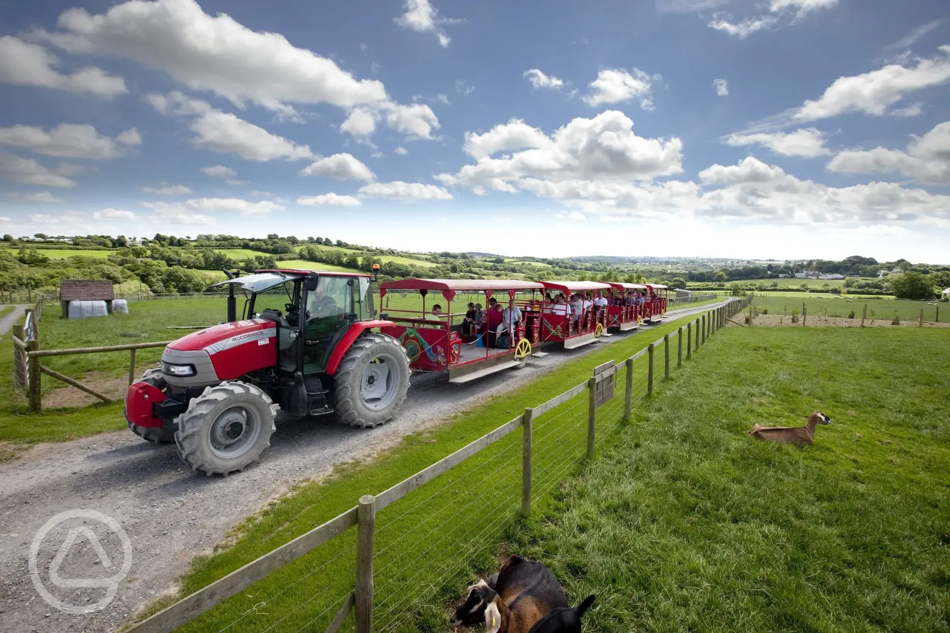 Land train at Folly Farm Adventure Park and Zoo Land train at Folly Farm Adventure Park and Zoo