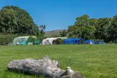 Non electric grass tent pitches