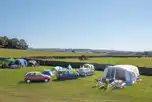 Electric grass tent pitches