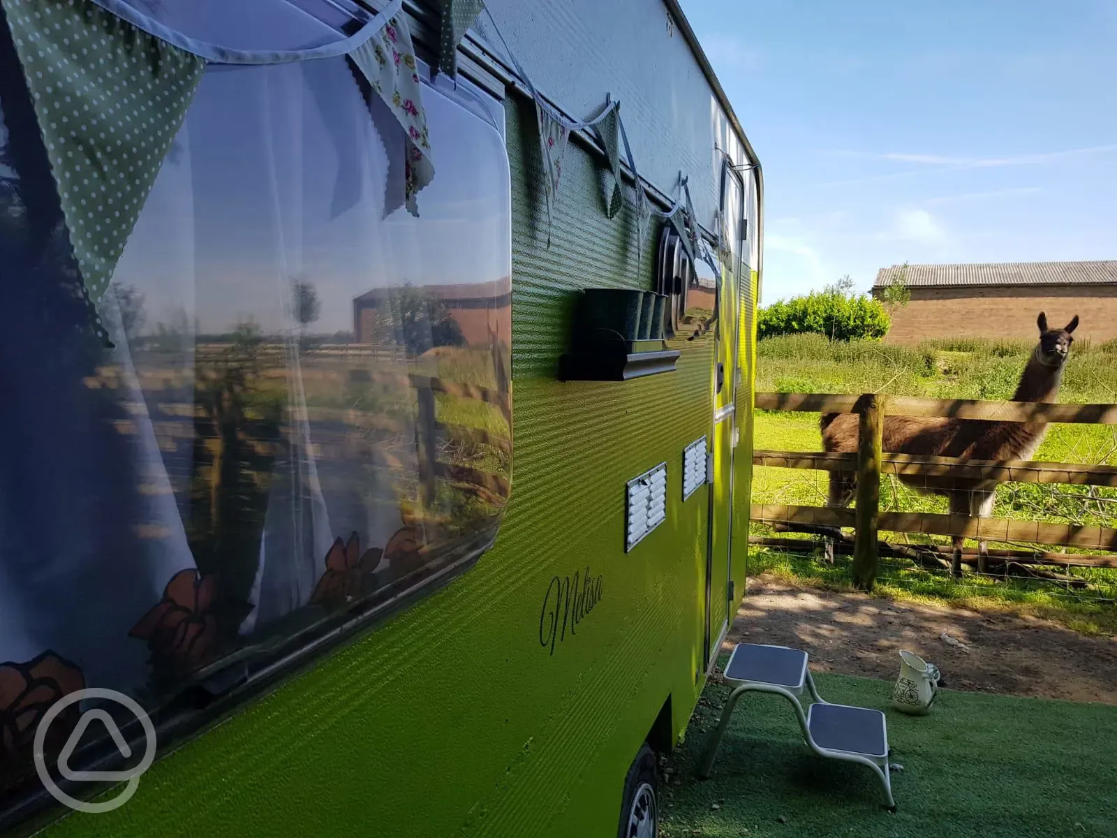 Caravan with llamas
