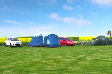 Grass tent pitches 