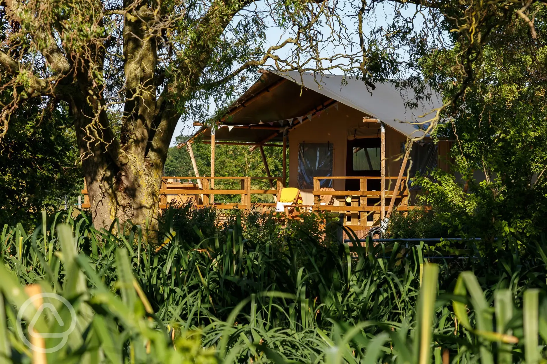 Safari lodge tent 