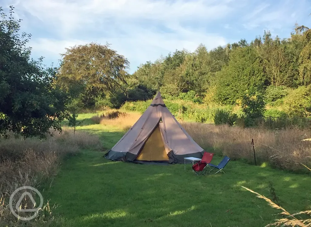 Small non electric grass pitch (Orchard)