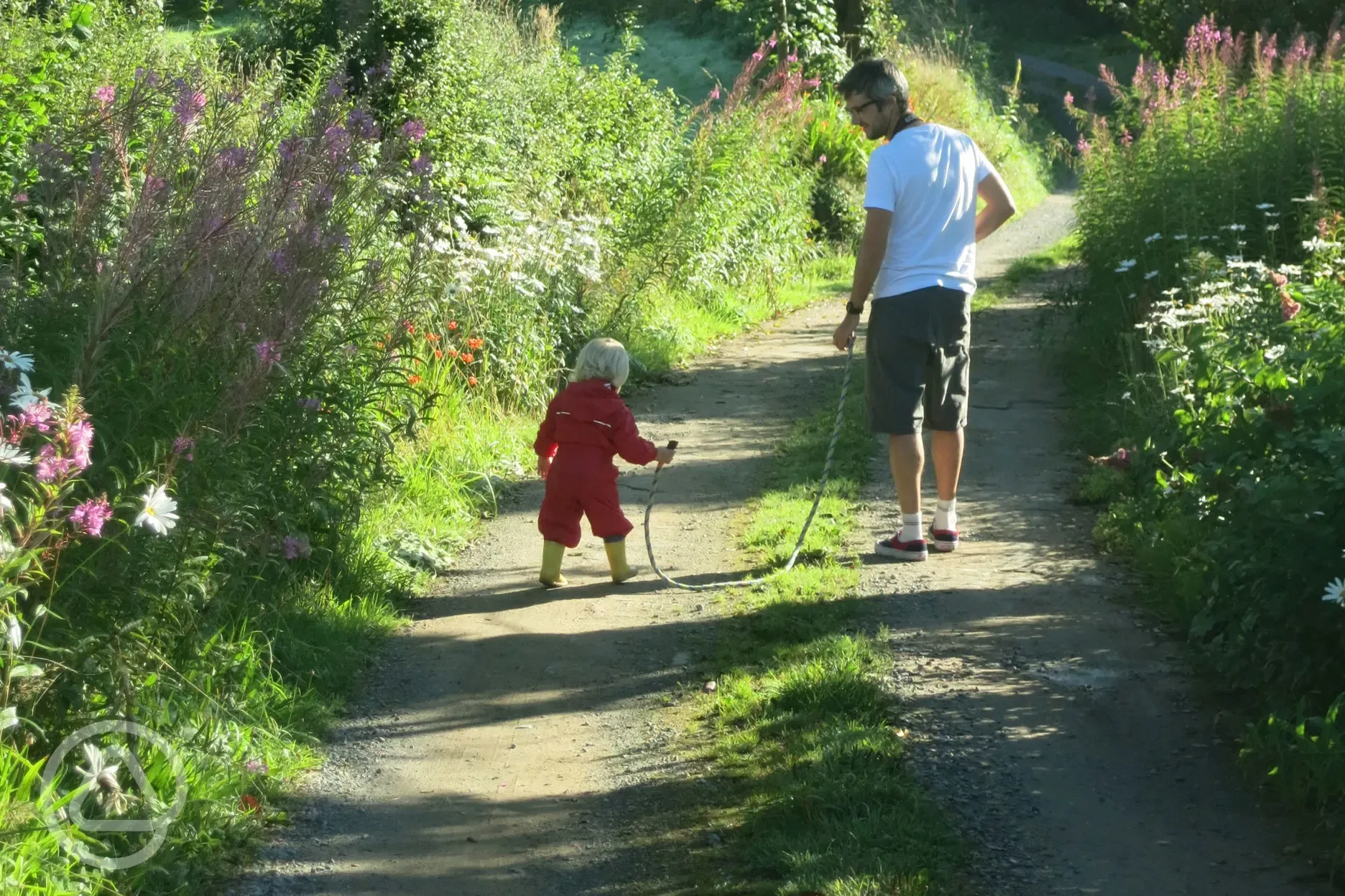 Devon wildlife trail on the 80 acre farm