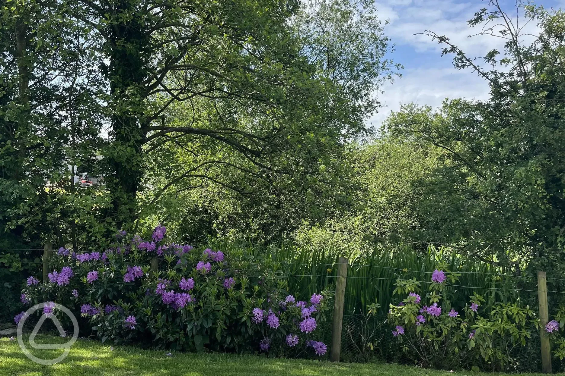 Landscaped grounds