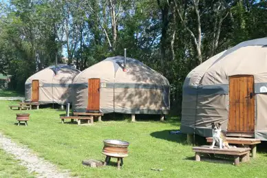 Long Valley Yurts Keswick
