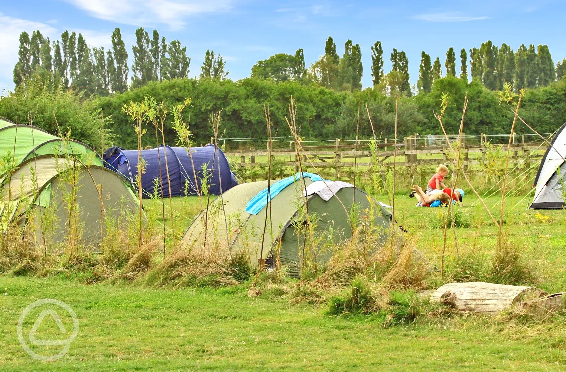 Grass tent pitches 