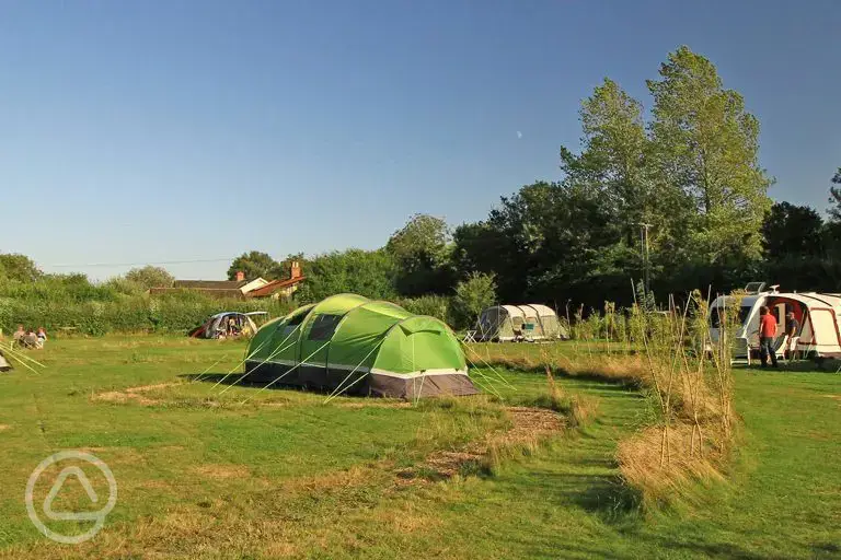 Grass tent pitches 