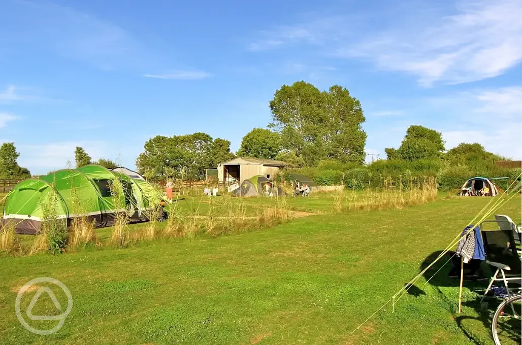 Grass tent pitches 