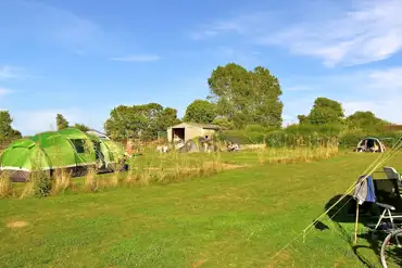 Grass tent pitches 