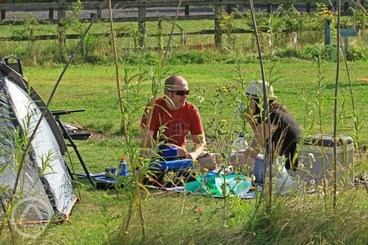 Grass tent pitches 