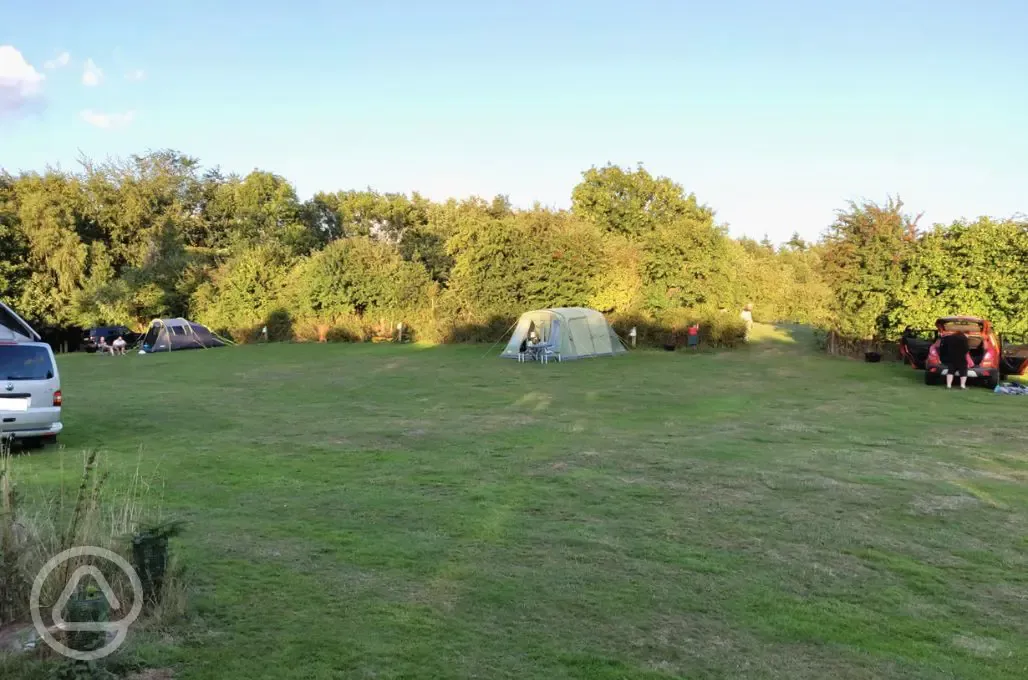 Grass tent pitches