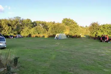 Grass tent pitches