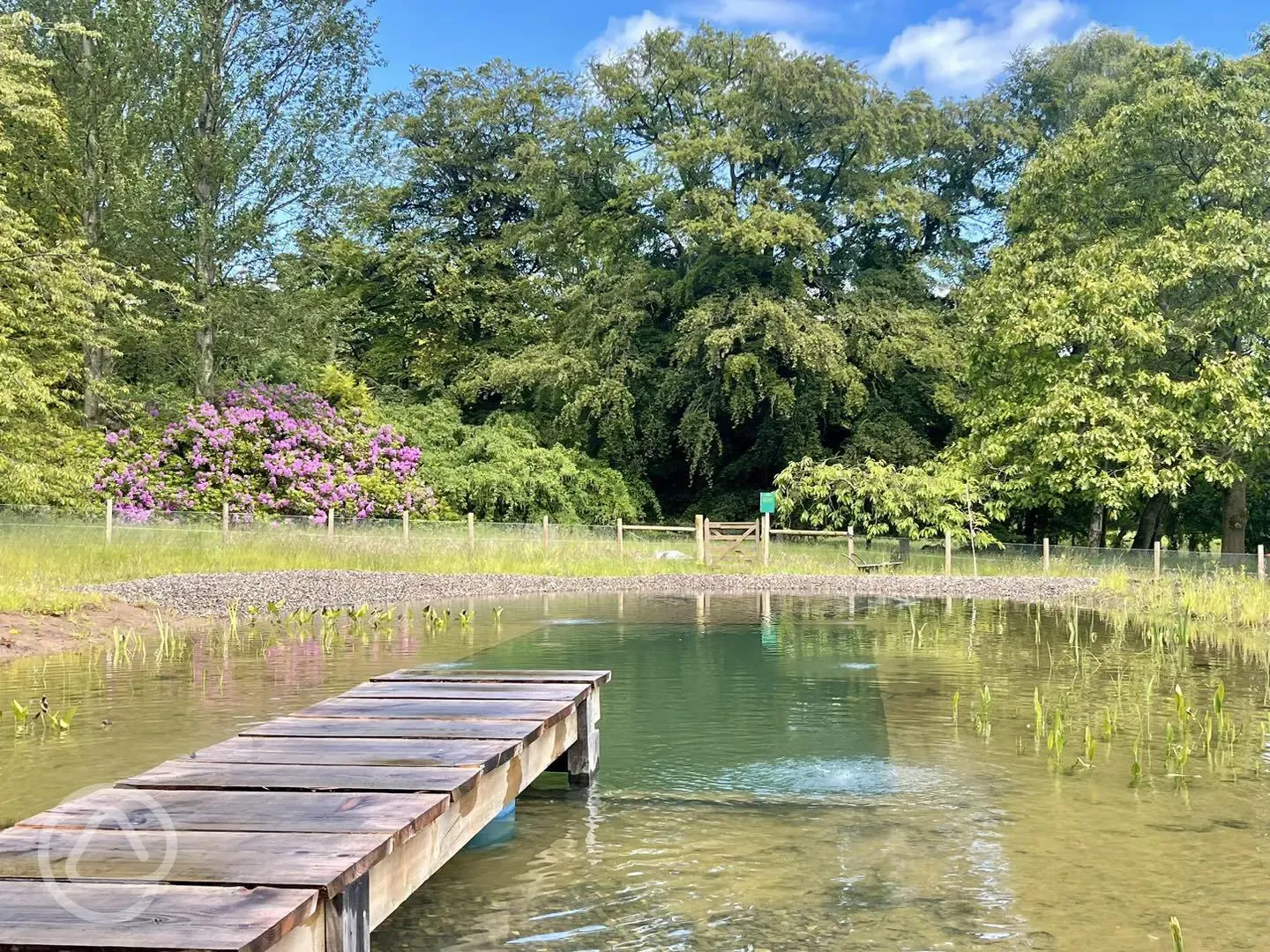 Natural pool