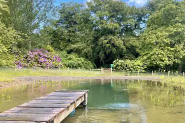 Natural pool