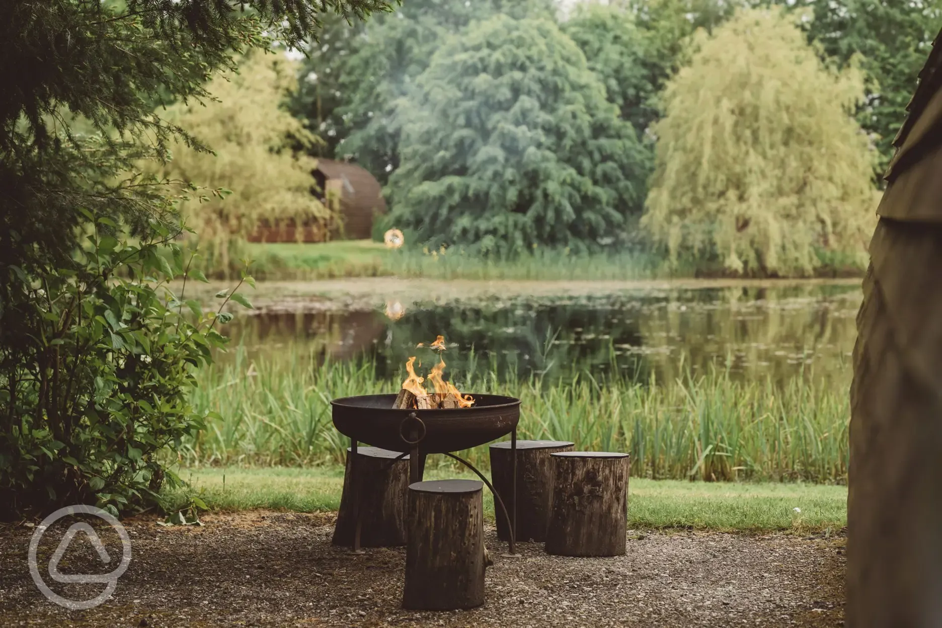 Firepit/BBQ overlooking the lake