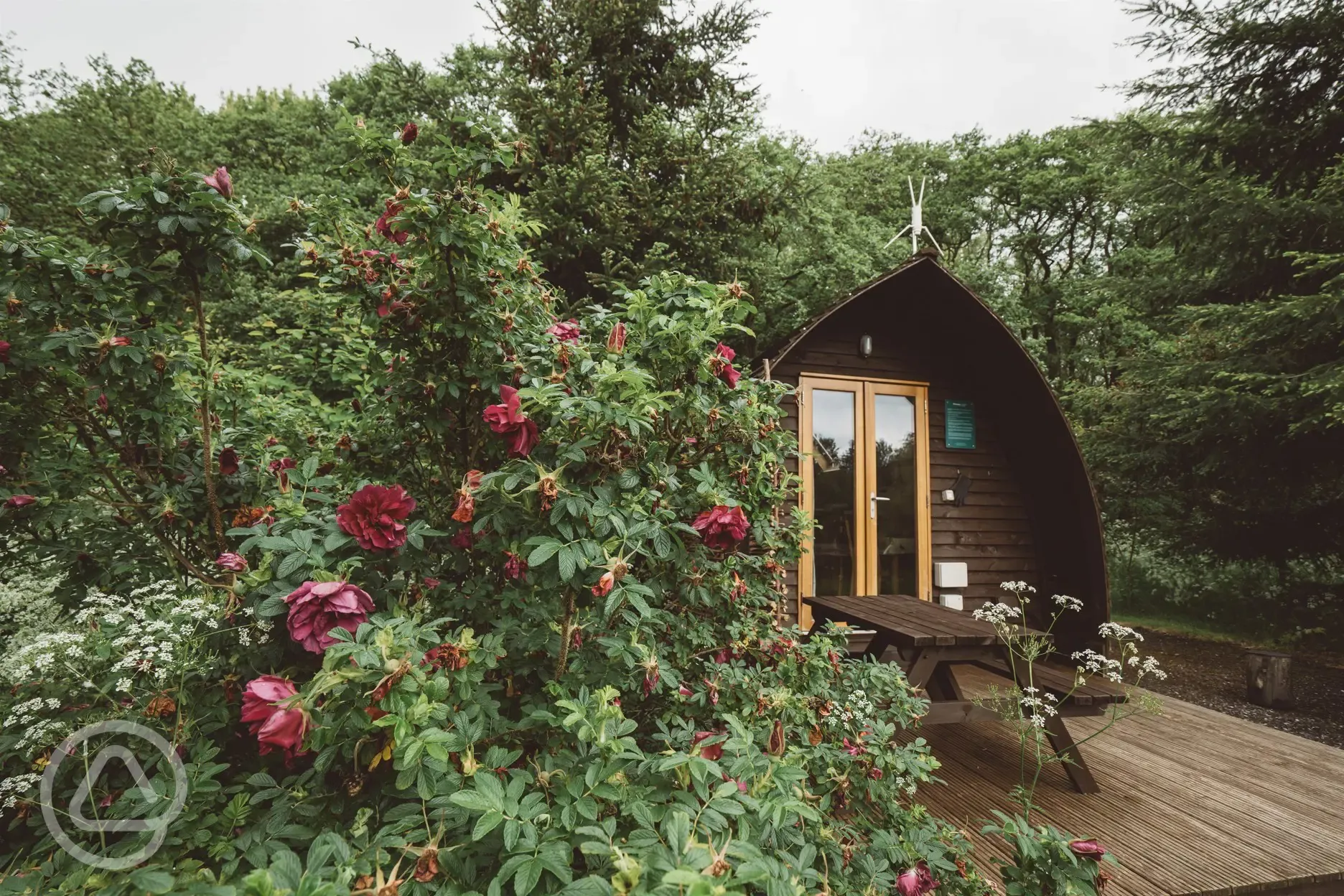 Deluxe ensuite Wigwam pod