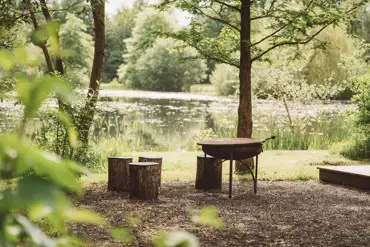 Fire pit/BBQ overlooking the wildlife lake