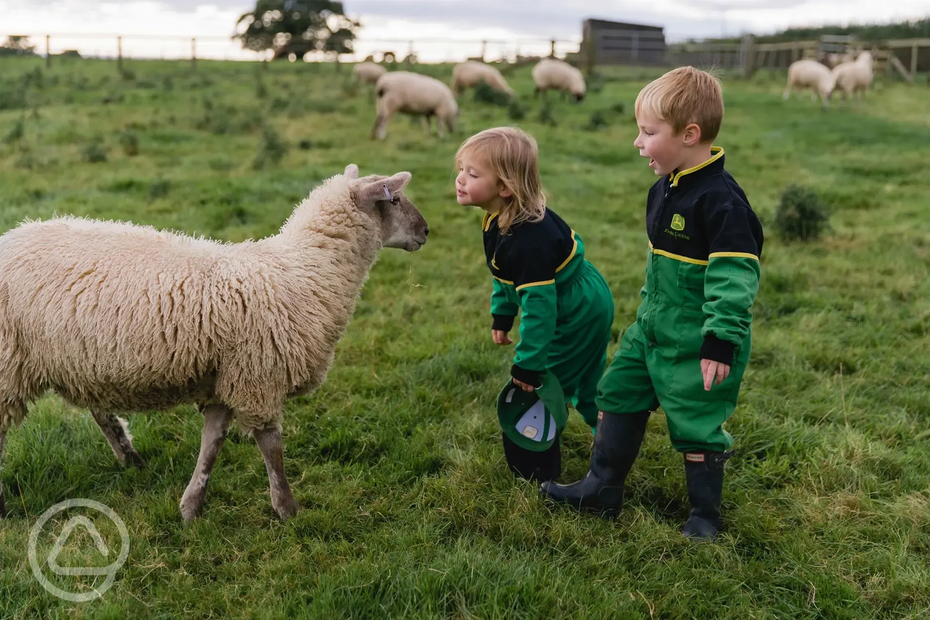 Children meeting the farm animals