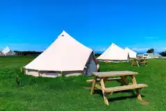 Standard bell tents