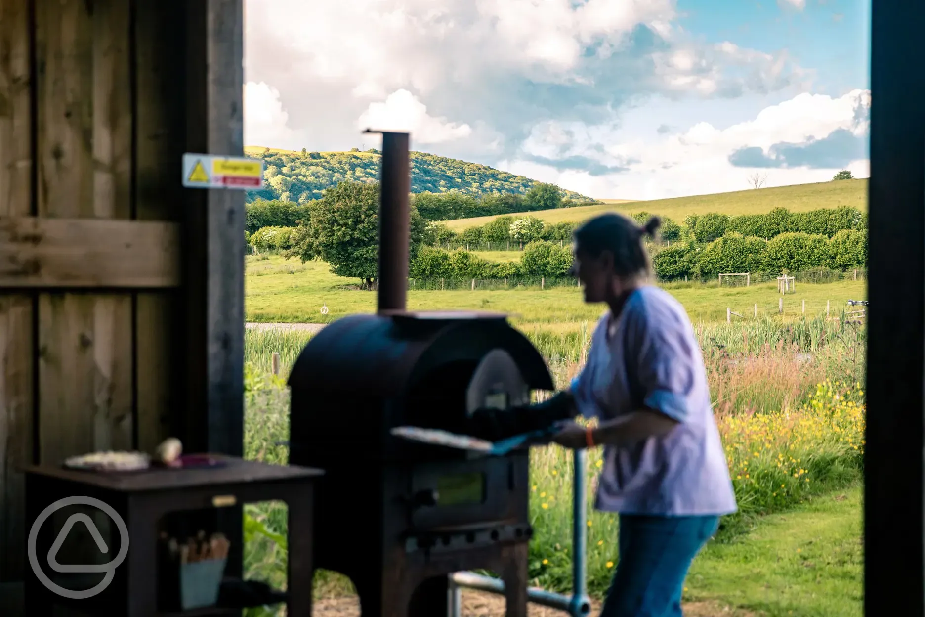 Wood-fired pizza oven