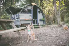 Dog friendly Landpods (Towans and Saltings only) Dog friendly Landpods (Towans and Saltings only)