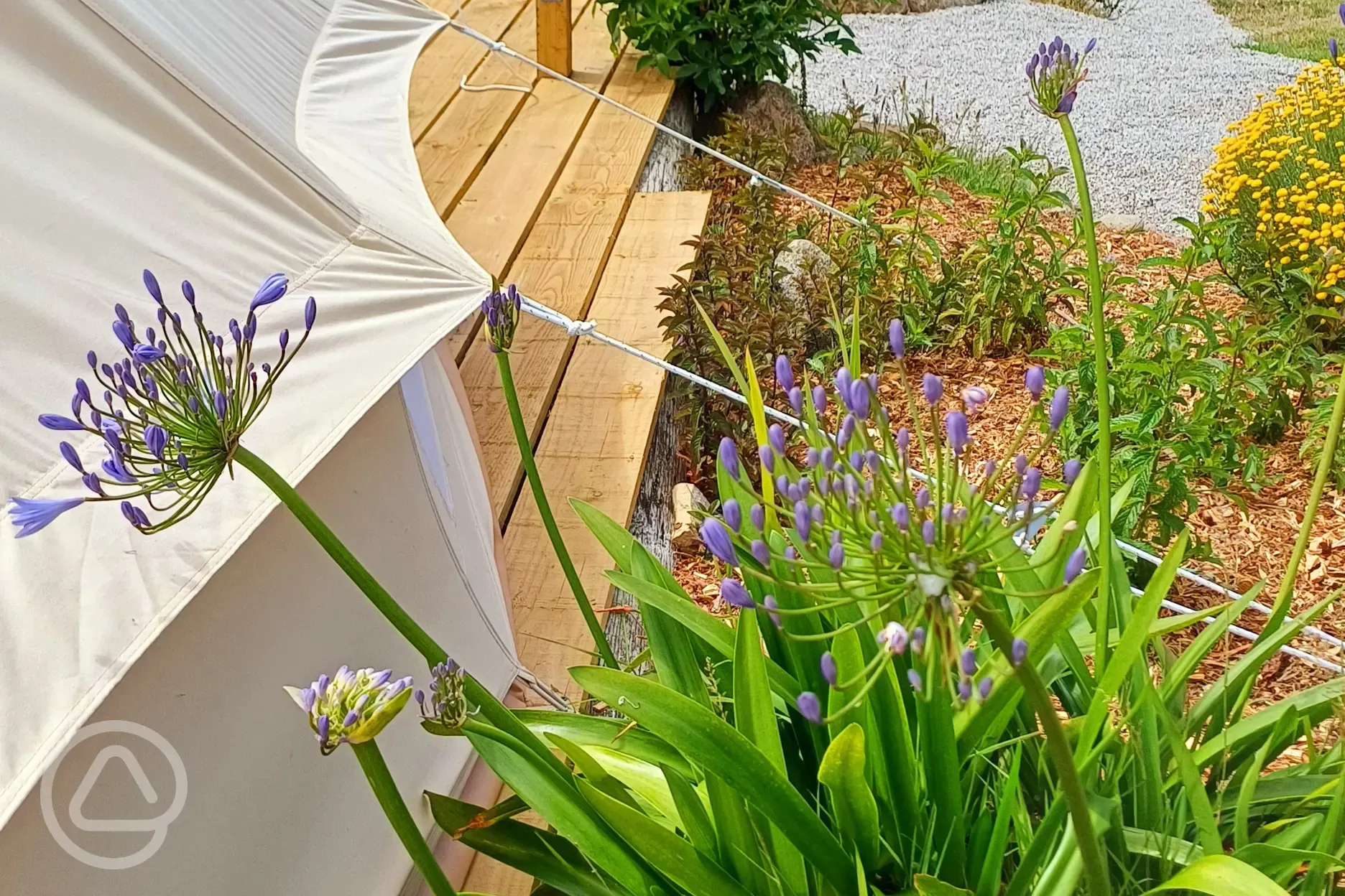 Owles View bell tent with enclosed garden