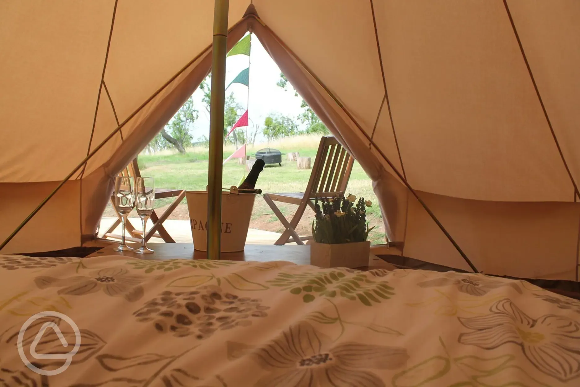 Egg plum Bell Tent