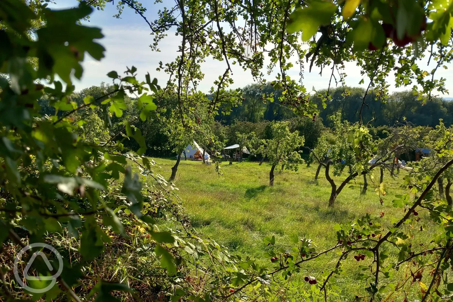 Bell Tent