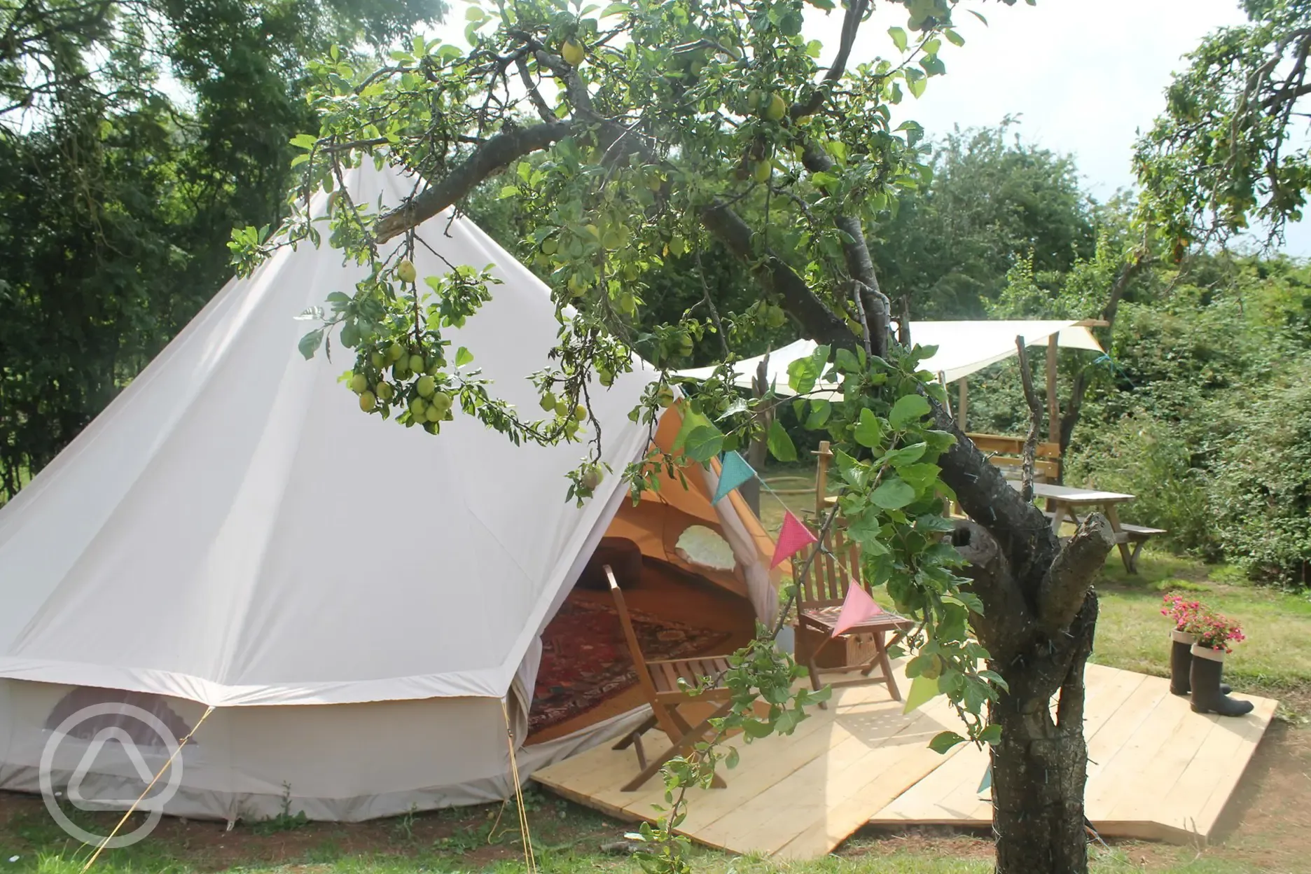 Egg Plum Bell Tent