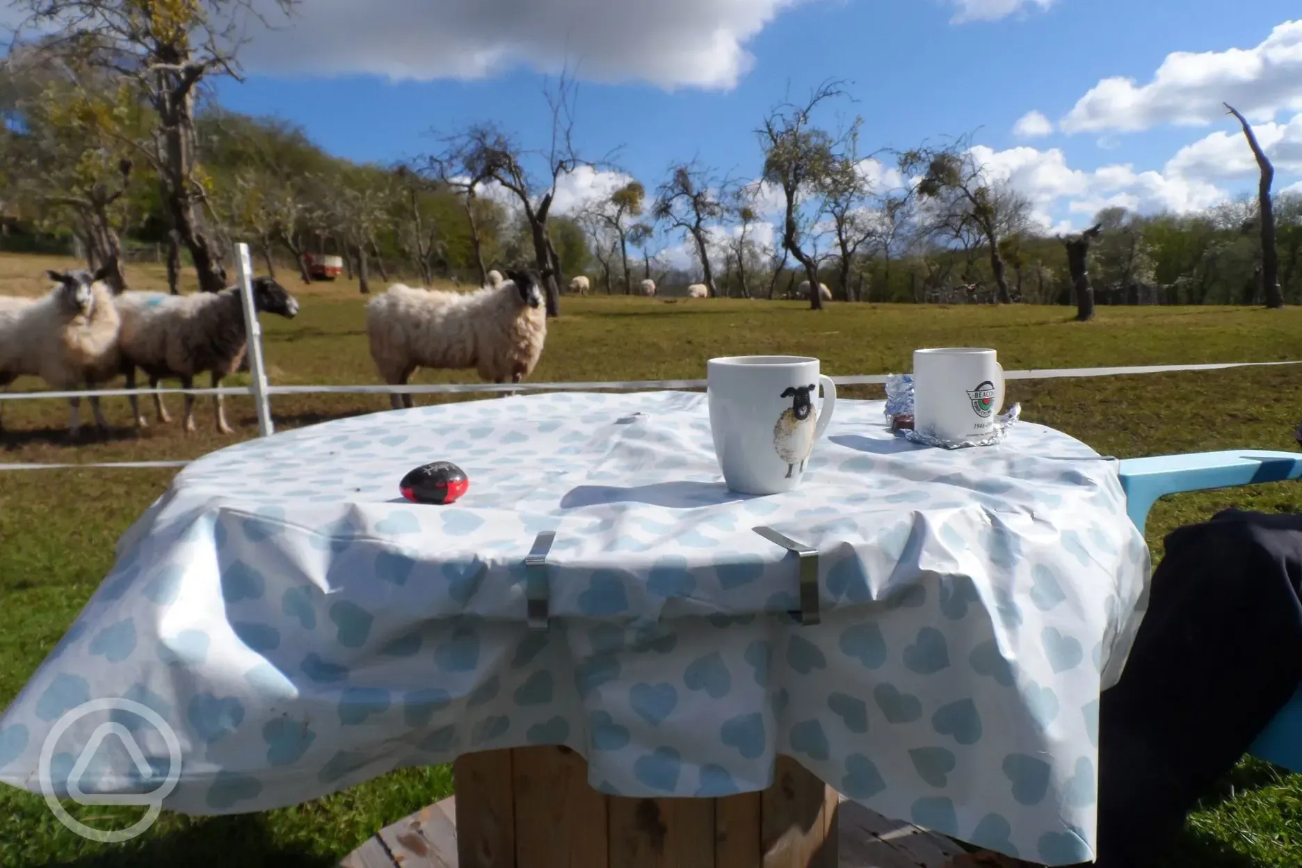 Avalon wagon outdoor setting