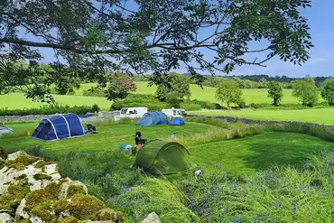 Camping pitches - optional electric