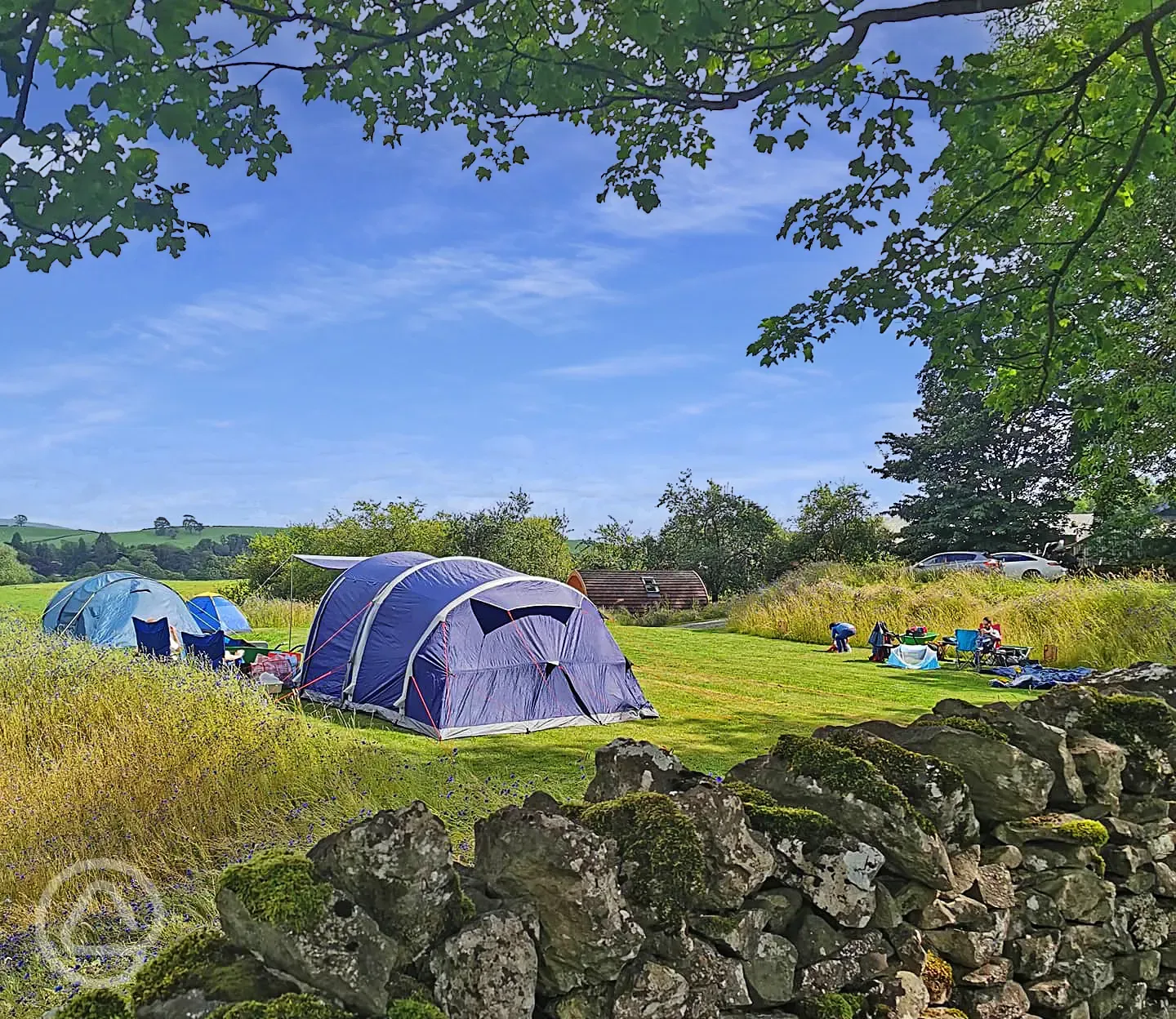 Peter Rabbit - Camping by the Lake