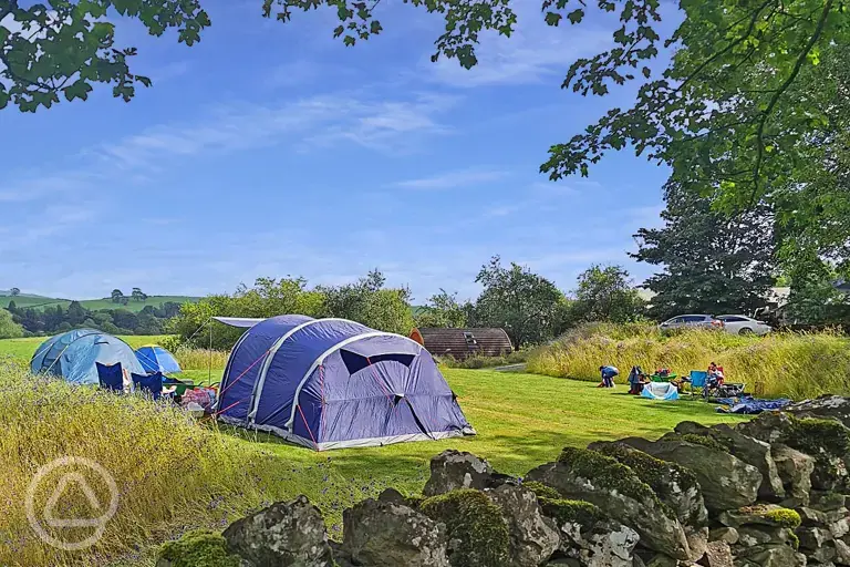 Camping pitches - optional electric