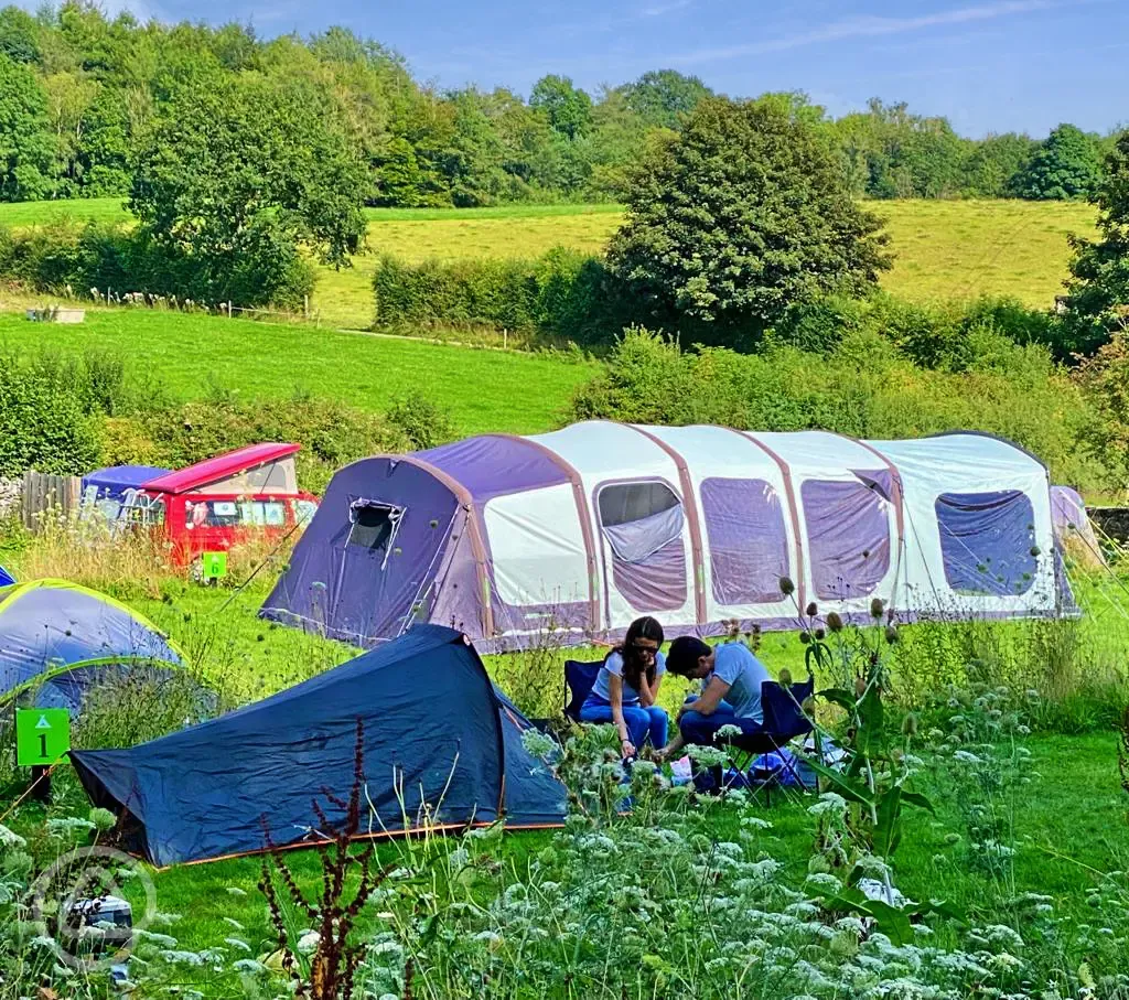 Camping pitches - optional electric