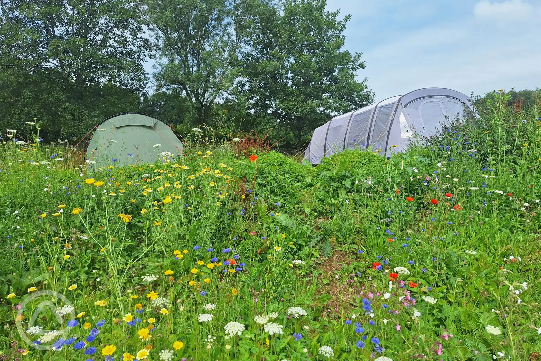 Camping pitches - optional electric