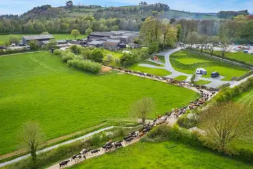 Aerial of the site