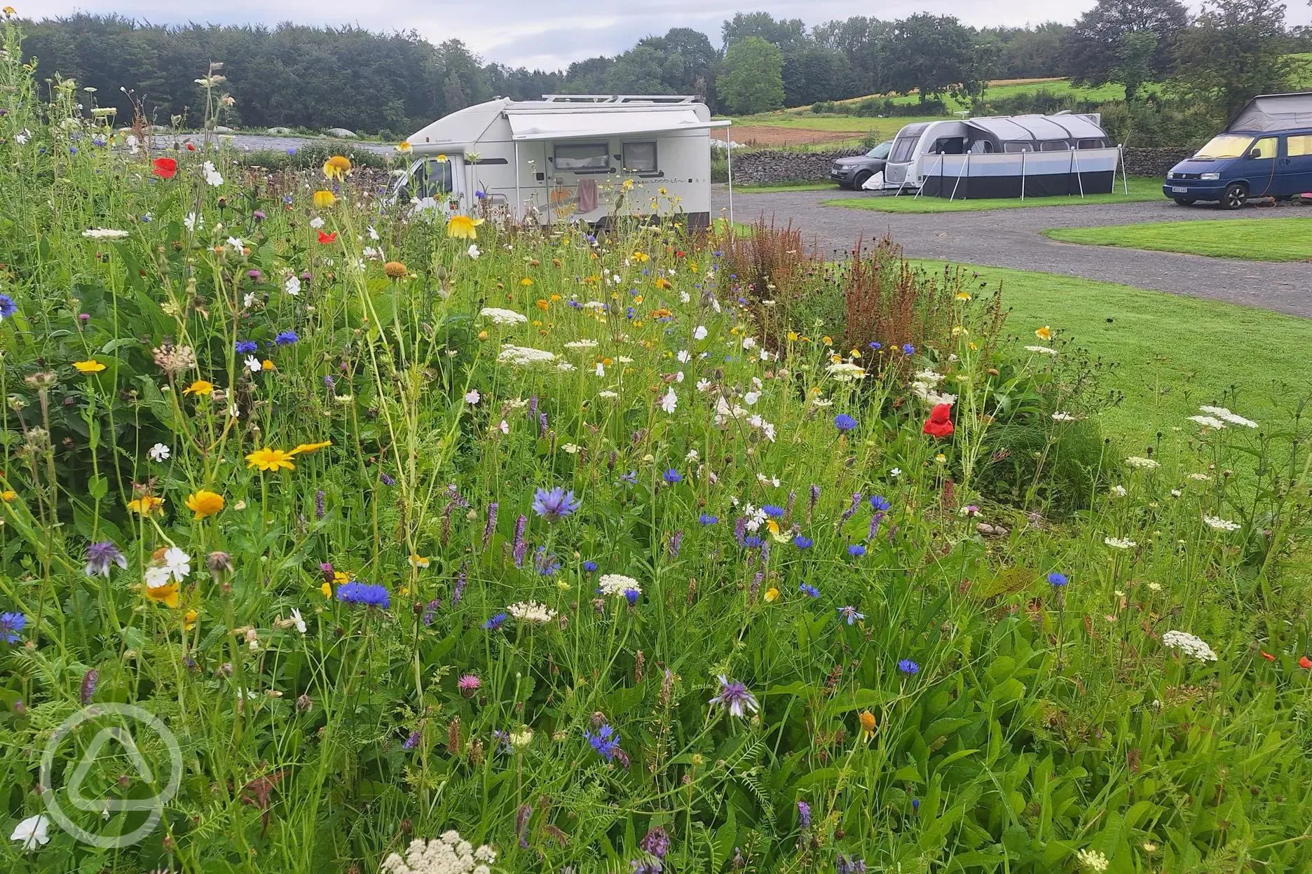 Fully serviced hardstanding touring pitches