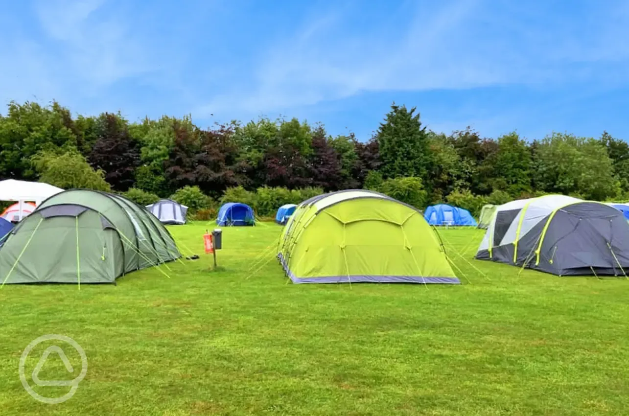 Non electric grass pitches at Cotswold Hills Country Park